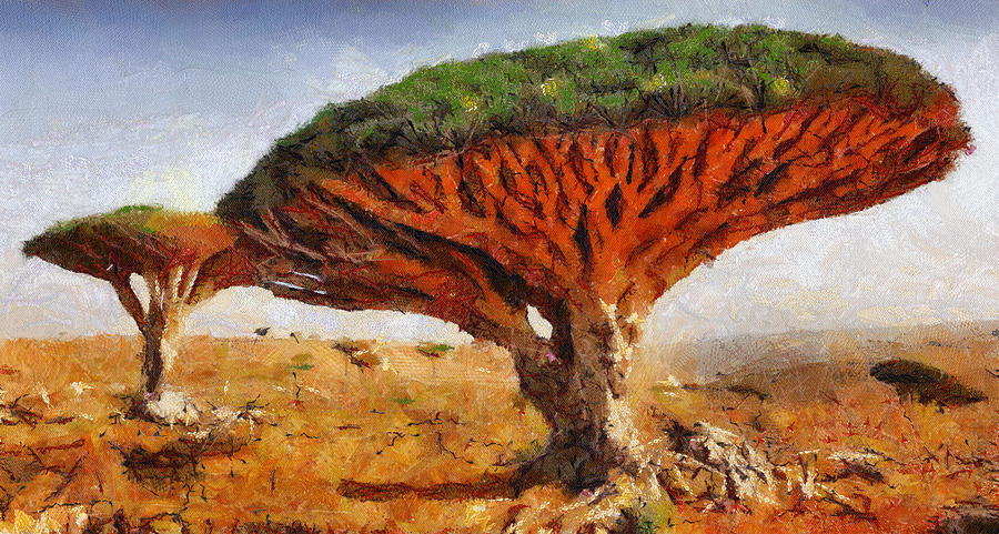 Dragon S Blood Tree Dracaena Cinnabari Painting By Georgi Dimitrov