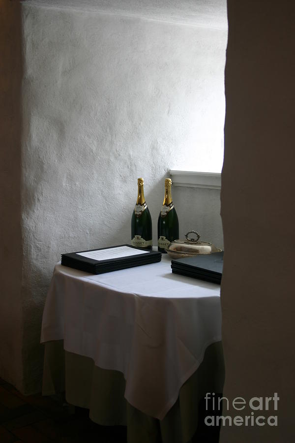 Wine Photograph - Dragsholm Castle by Susanne Baumann