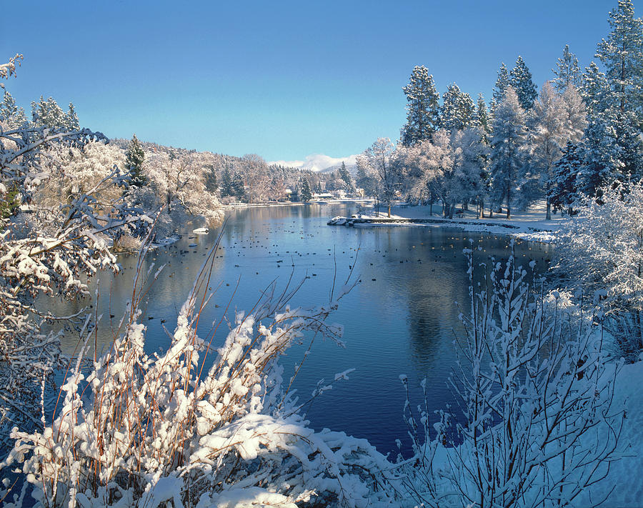 Drake Park Along Mirror Pond In Winter Photograph by Panoramic Images