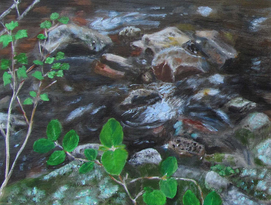 Drakes Brook Painting by Linda Feinberg