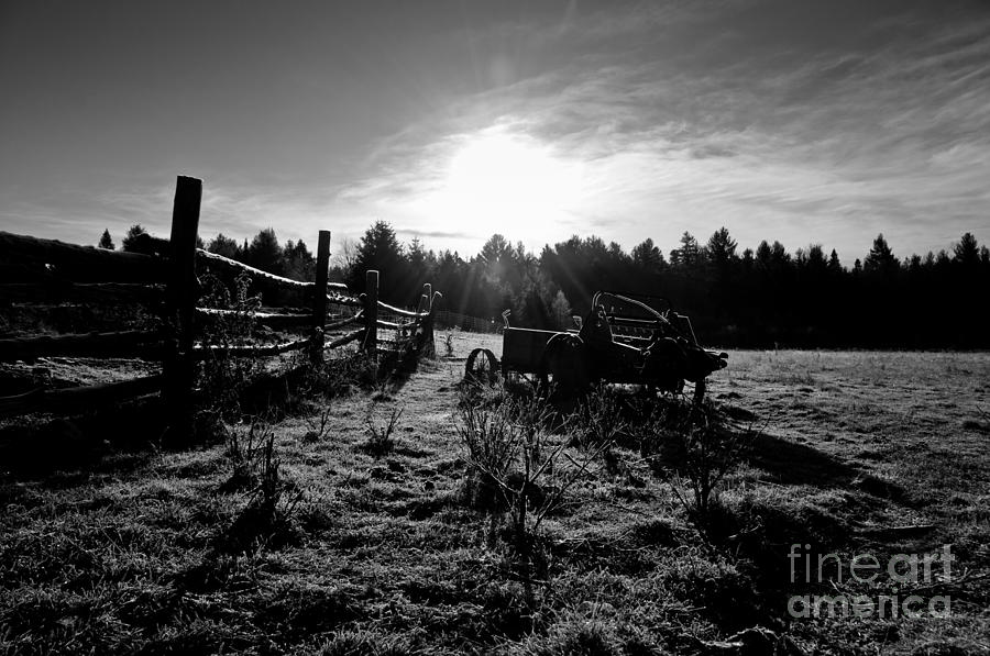 Dramatic Frosty Morning Photograph by Cheryl Baxter