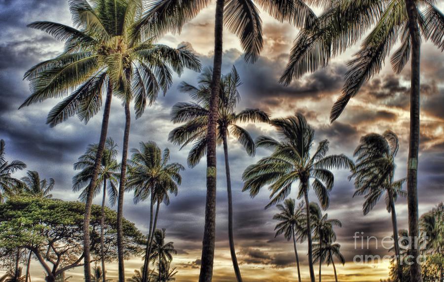 Dramatic Maui Sunset Photograph by Peggy Hughes