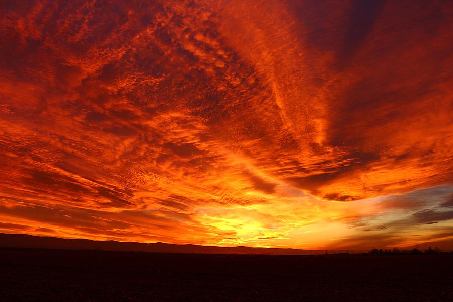 Dramatic red sky Photograph by Lynn Hopwood