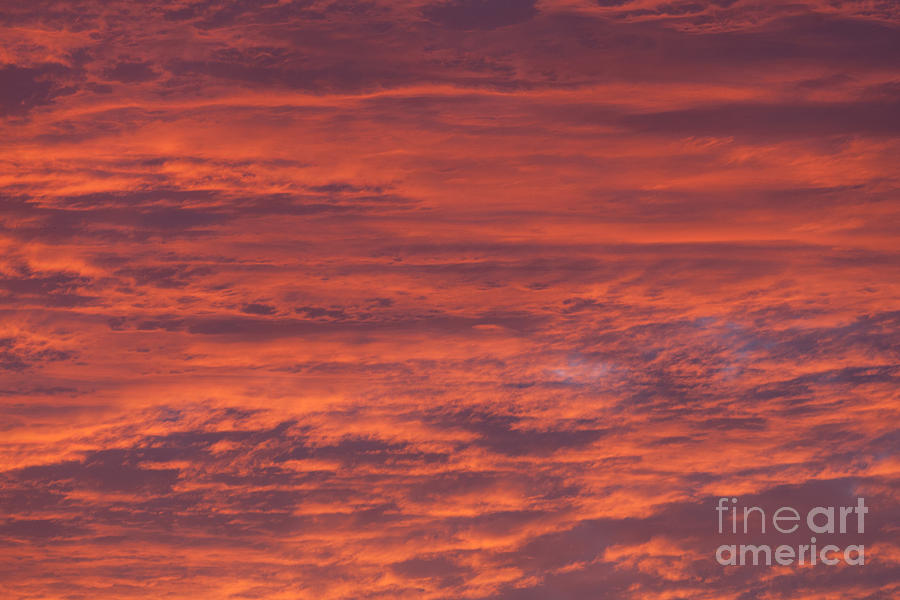 Dramatic Red Sky Photograph By Shaun Wilkinson Pixels