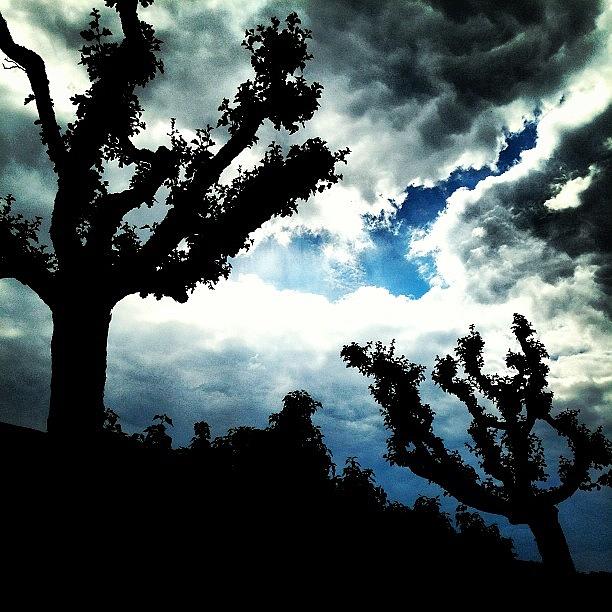 Tree Photograph - Dramatic Scenery #landscape #trees #sky by Cy Rena