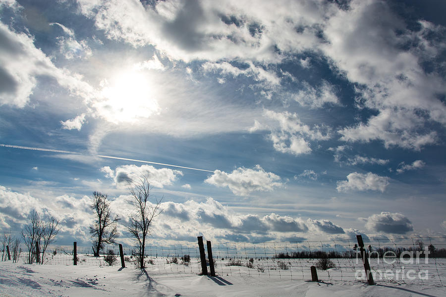 Dramatic Winter Day Photograph by Cheryl Baxter