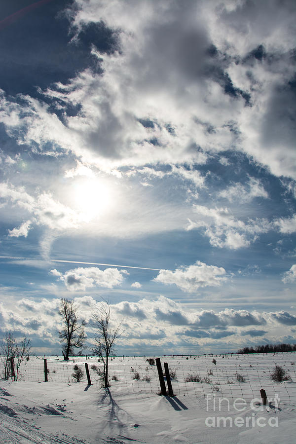 Dramatic Winter Sky Portrait Photograph by Cheryl Baxter