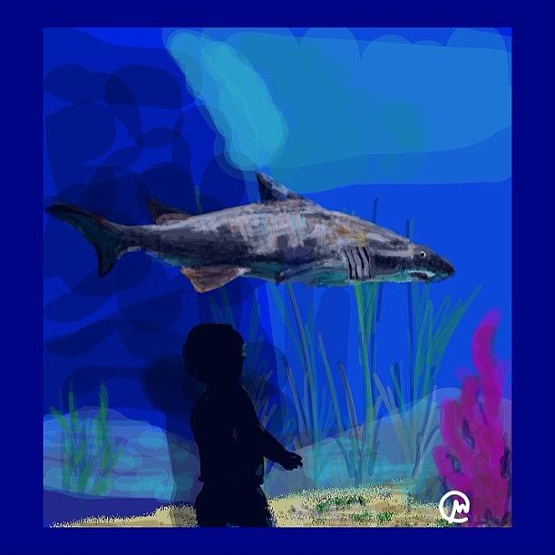 Draw Photograph - Draw Something 2 ~ Word Was Shark Tank by Michelle Cronin