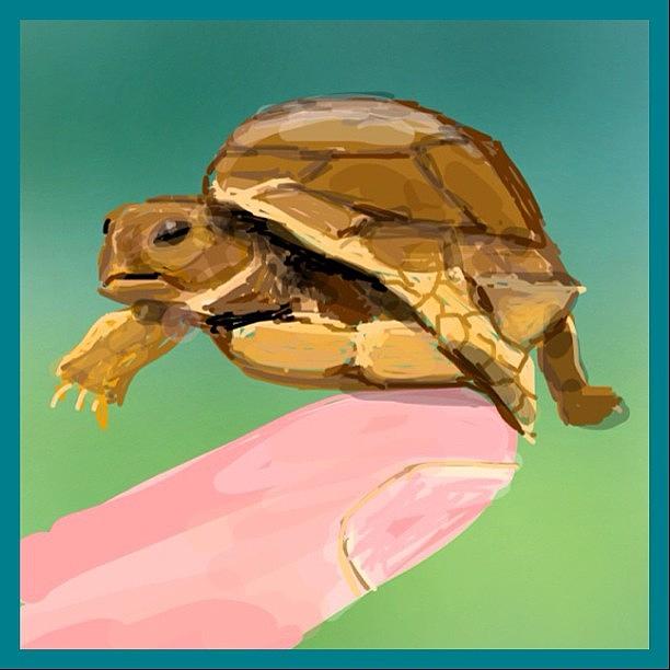 Draw Photograph - Draw Something 2 ~ Word Was Turtle by Michelle Cronin