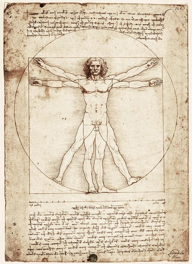 Drawing By Leonardo Da Vinci. Vitruvian Photograph by Everett - Fine ...