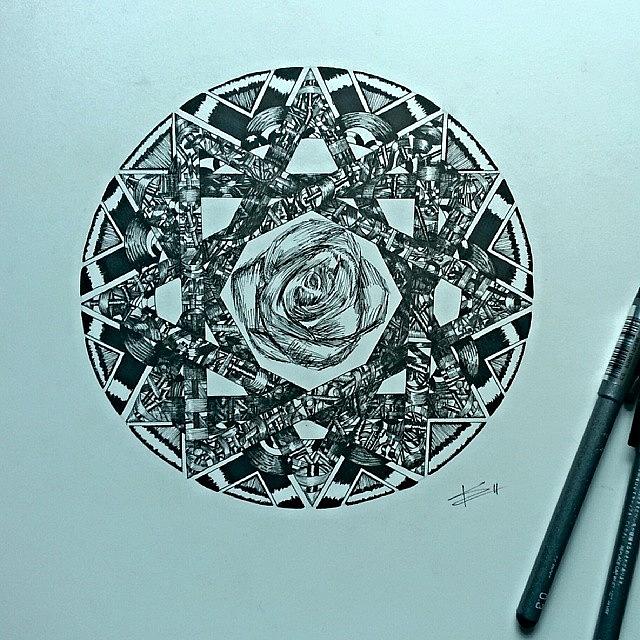 Rose Photograph - #drawing #doodle#sketch#art by Kyle Hill
