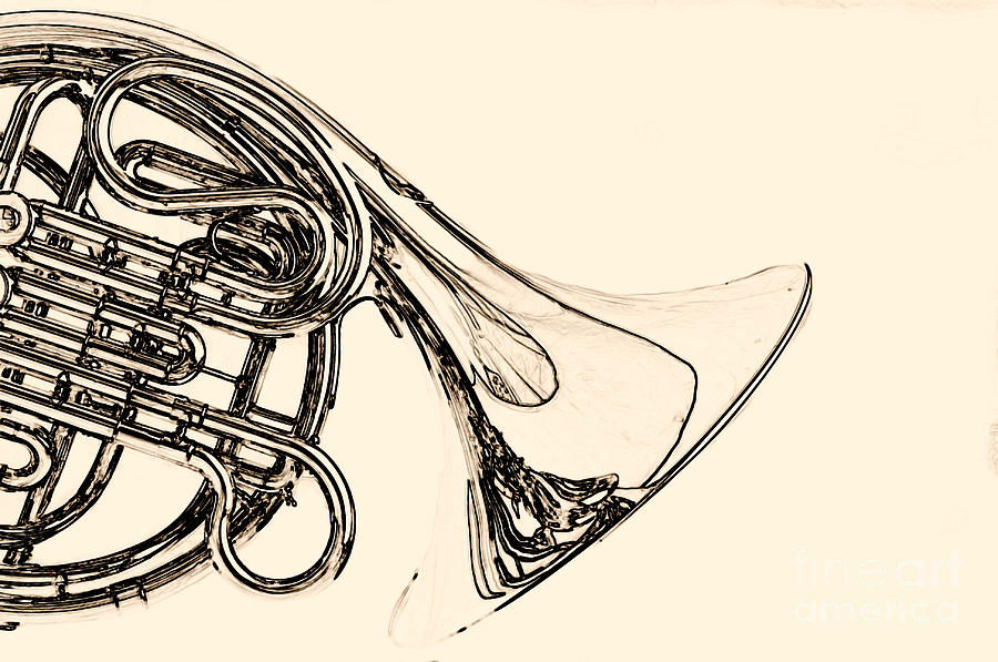 Drawing of a French Horn Classic in Black and White 3429.03 Photograph by M K Miller