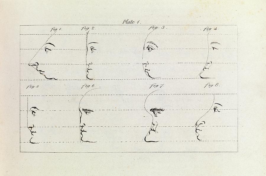 Caricature Photograph - Drawing Profiles by Middle Temple Library/science Photo Library
