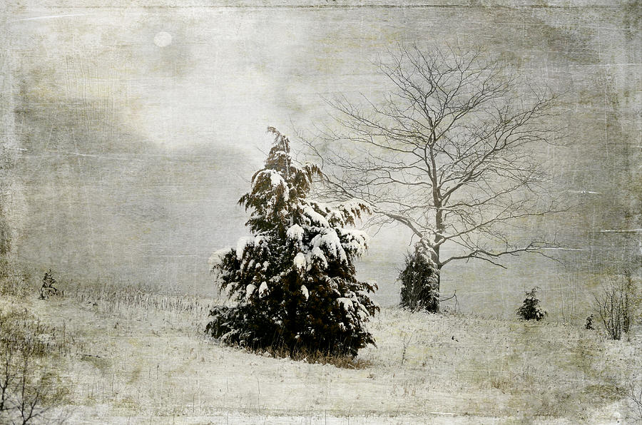 Dread of Winter Photograph by Julie Palencia