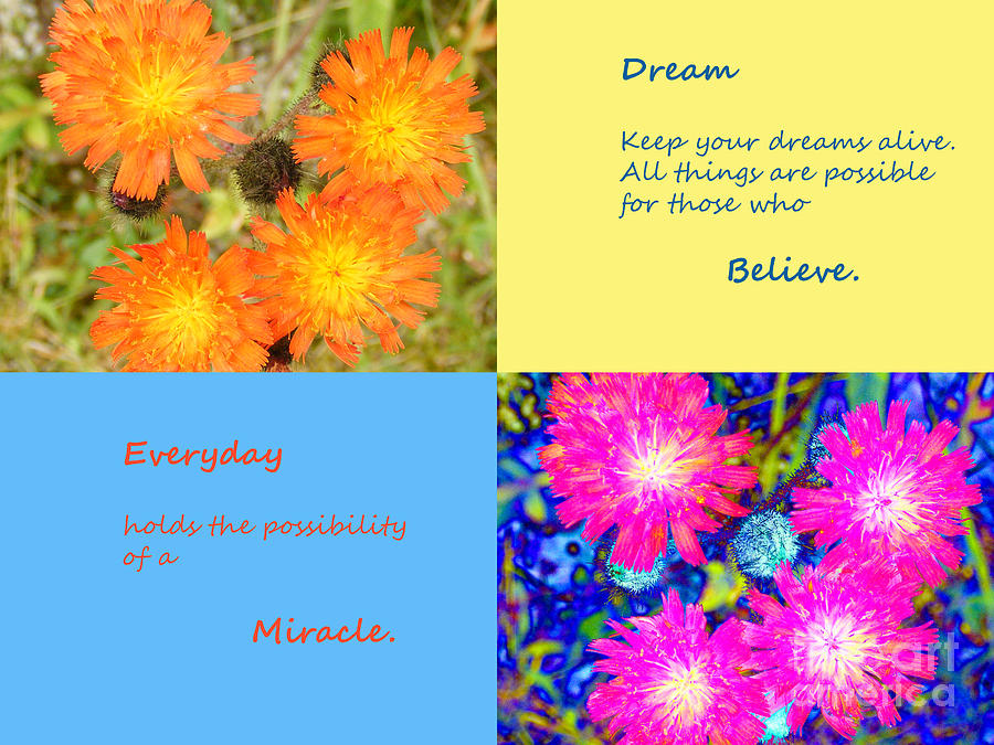 Dream - Believe - Inspiration Photograph by Barbara A Griffin
