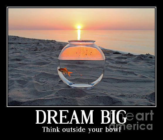 Dream Big Photograph by Eric Curtin