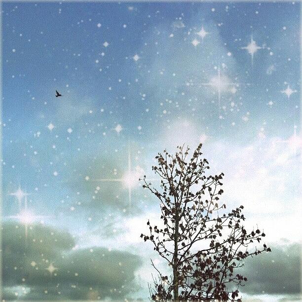 Fantasy Photograph - Dream. #bird #flying #stars #edit by Linandara Linandara