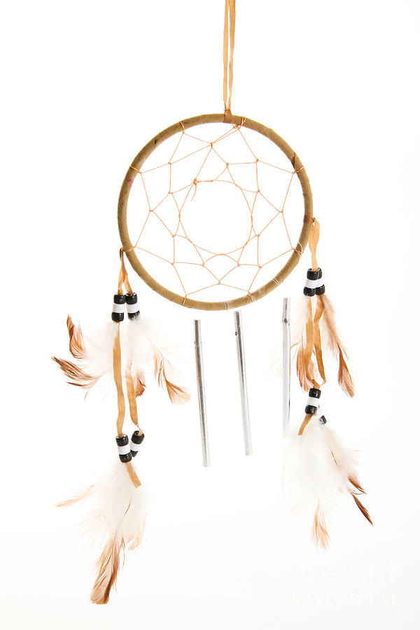 Dream Catcher Photograph by Photo Researchers