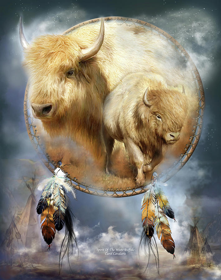 Buffalo Mixed Media - Dream Catcher - Spirit Of The White Buffalo by Carol Cavalaris