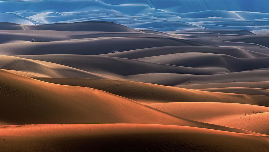 Dream Desert Photograph by Mohammad Shefaa