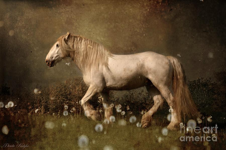 Horse Photograph - Dream Guardian by Dorota Kudyba