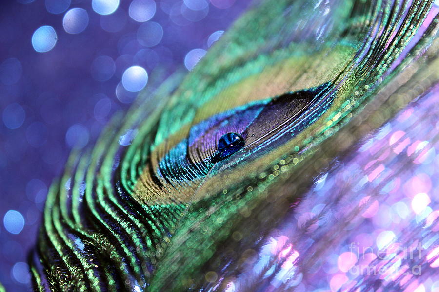 Peacock Photograph - Dream In Bokeh by Krissy Katsimbras