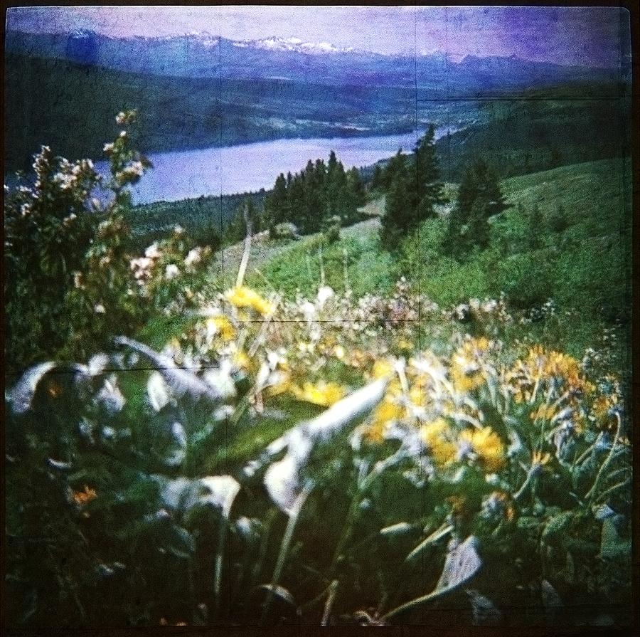 Dream In East Glacier by Carol Whaley Addassi Dream In East Glacier by Carol Whaley Addassi