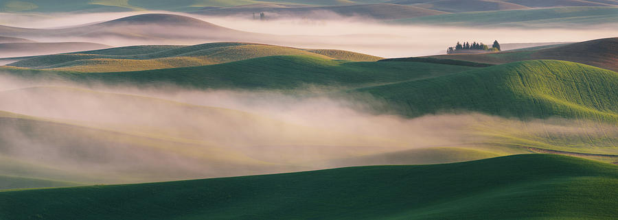 Landscape Photograph - Dream Land In Morning Mist-2 by ??? / Austin