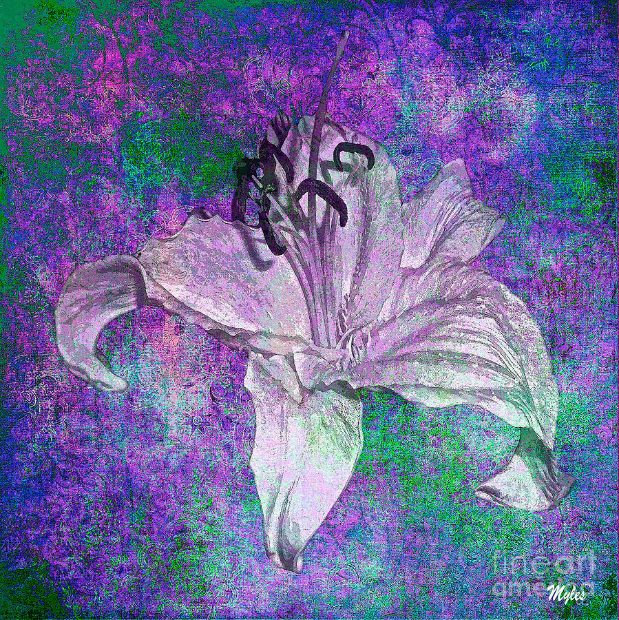 Dream Lily of White Painting by Saundra Myles