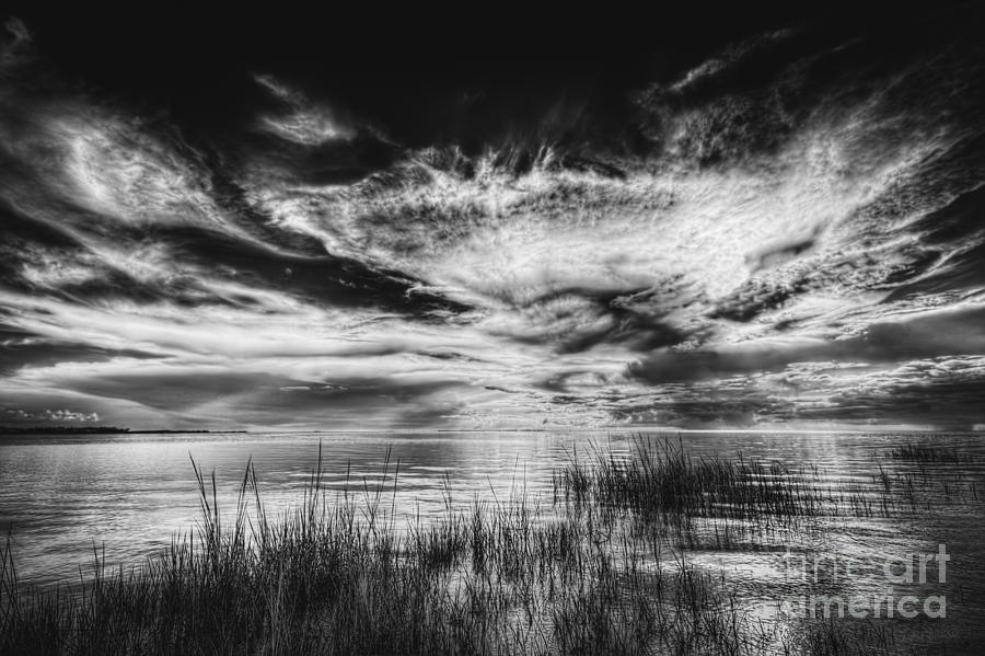 Tampa Photograph - Dream of Better Days-bw by Marvin Spates