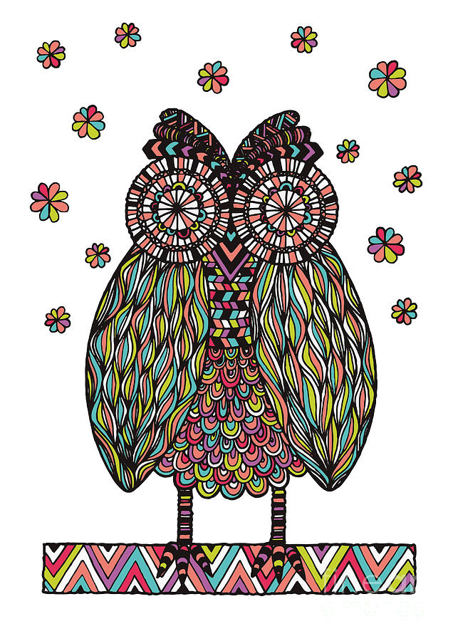 Owl Digital Art - Dream Owl by MGL Meiklejohn Graphics Licensing