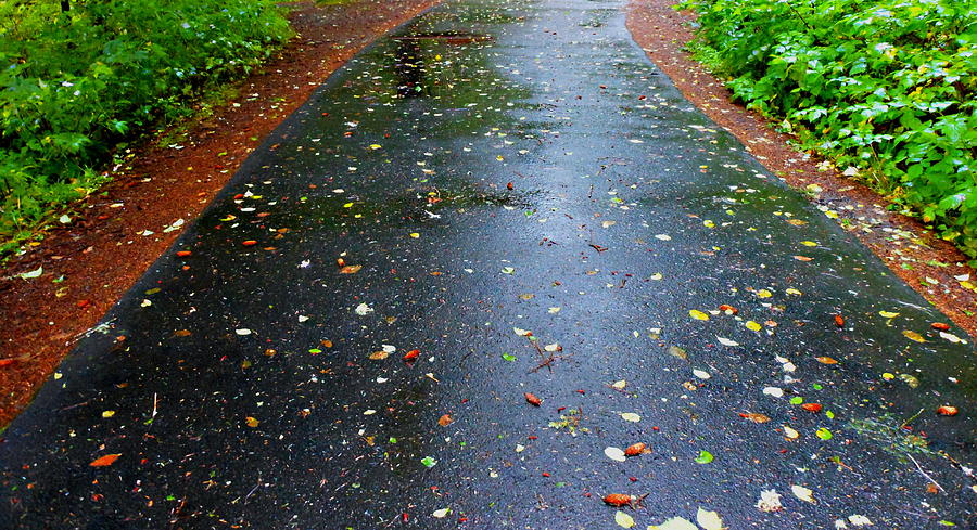 Fall Photograph - Dream Path by Karen Horn