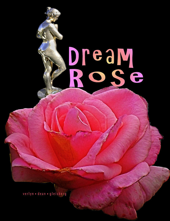 Dream Rose 8 Photograph by Craig A Christiansen
