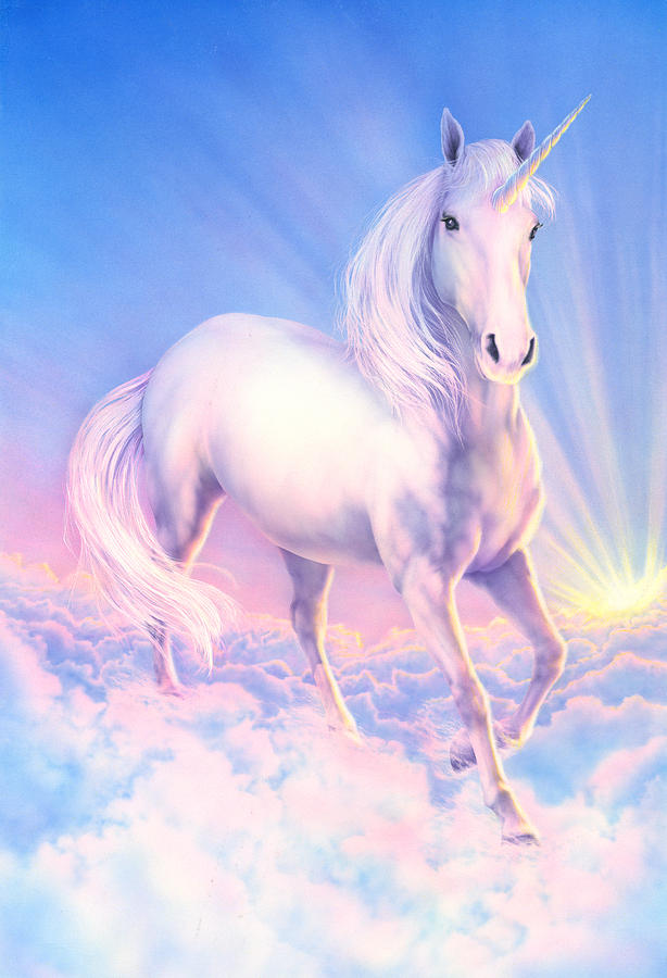uni the unicorn and the dream come true