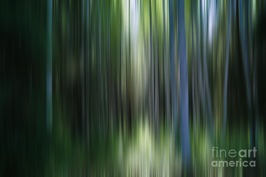 Impressionism Photograph - Dream Valley by Sharon Mau
