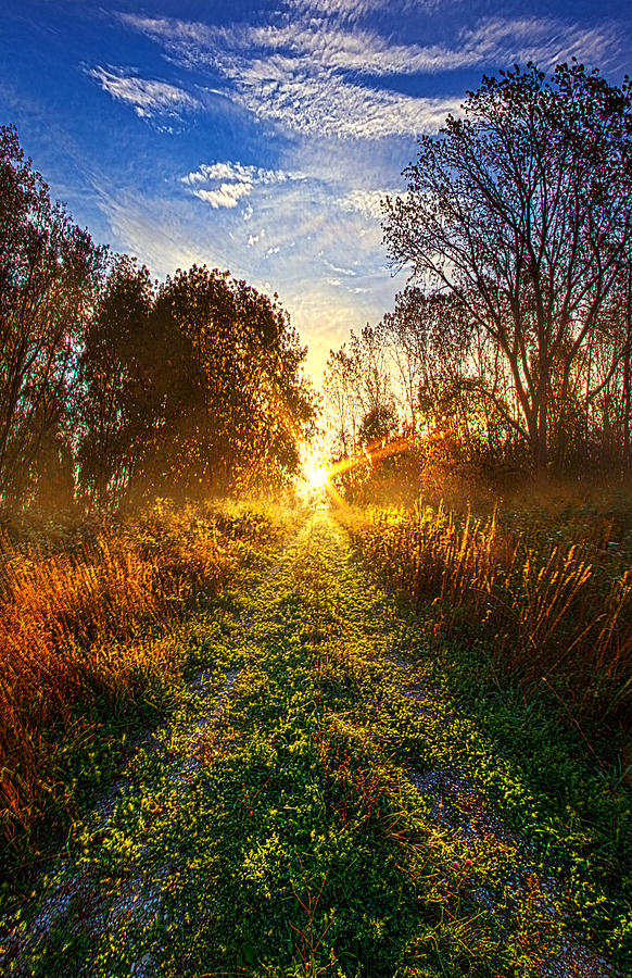 Dream With Your Eyes Open Photograph by Phil Koch