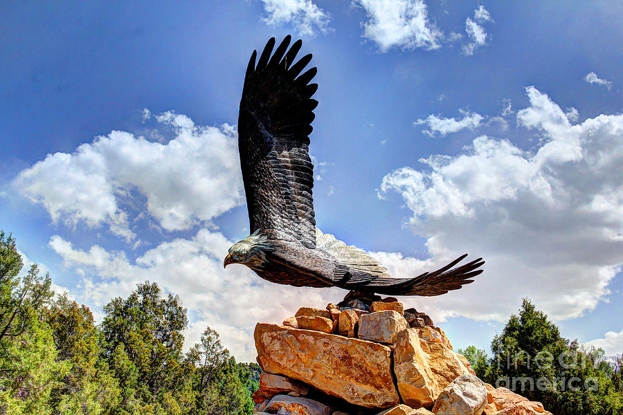 Dream your eagle and fly with him Photograph by Bob Hislop