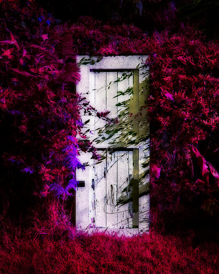Dreamers Door Photograph by Timothy Bulone