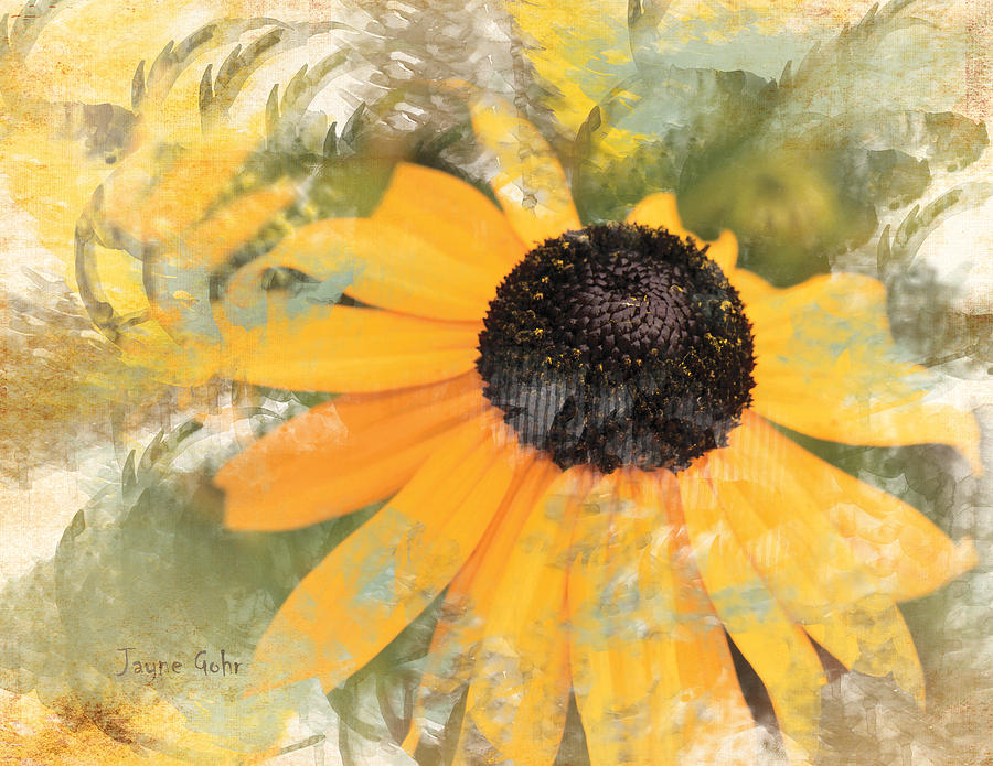 Daisy Photograph - Dreaming Flowers by Jayne Gohr