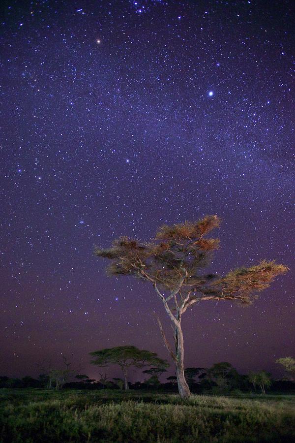Dreaming In Tanzania Photograph by Shaadi Faris