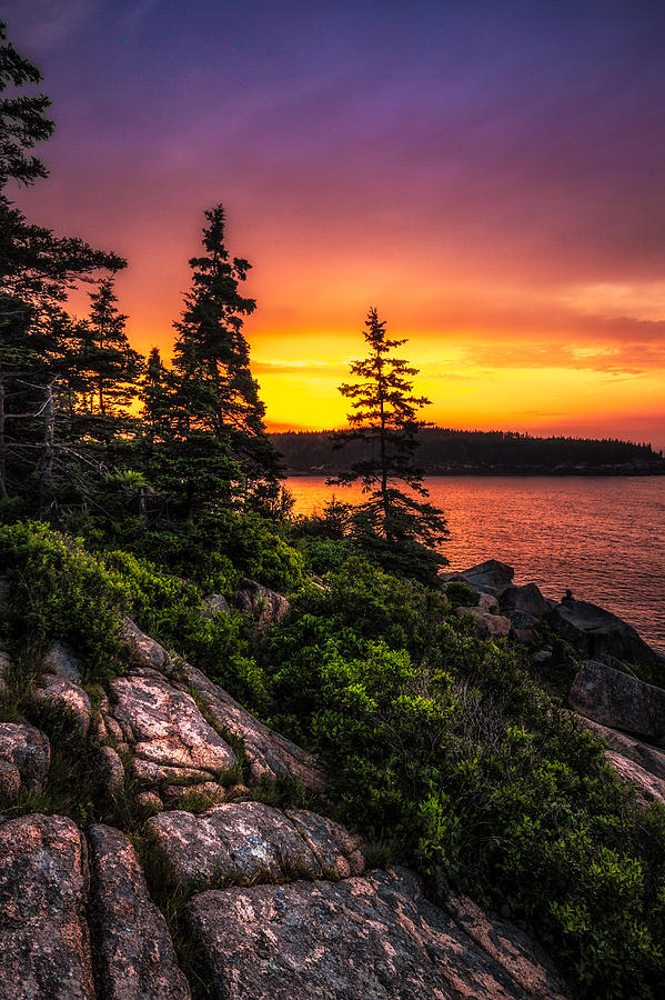 Dreaming Of Acadia Photograph by Robert Clifford