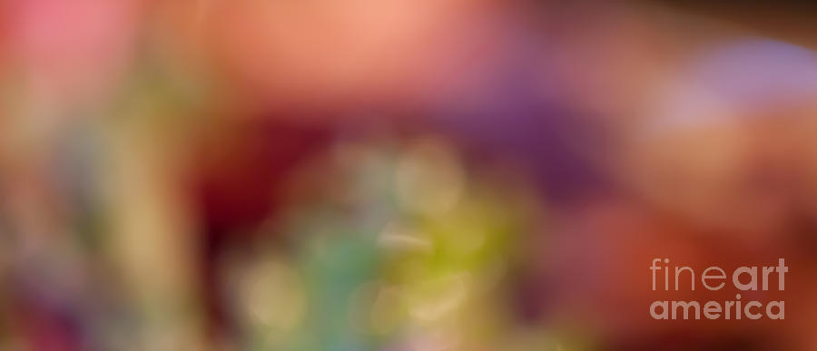 Dreaming of Dinner 2 Panorama by Patricia Bainter Dreaming of Dinner 2 Panorama by Patricia Bainter