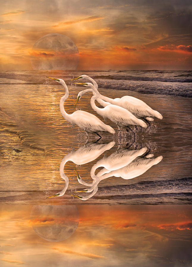 Dreaming Of Egrets By The Sea Reflection Digital Art