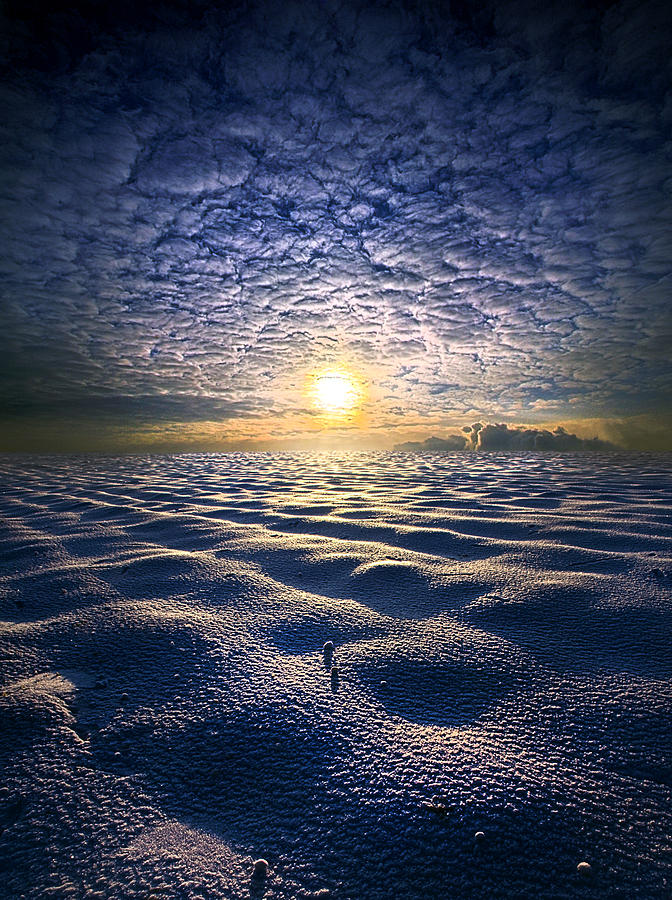 Dreaming of June Photograph by Phil Koch
