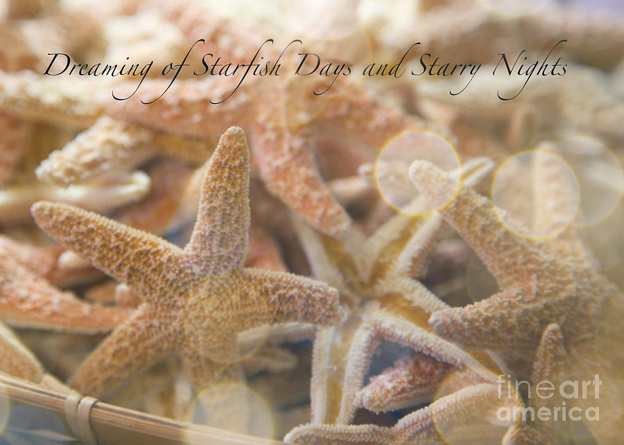 Shell Photograph - Dreaming of Starfish Days and Starry Nights by Carol Groenen