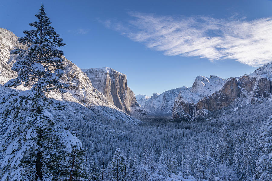 Dreaming Of Yosemite Photograph by Eric Dugan