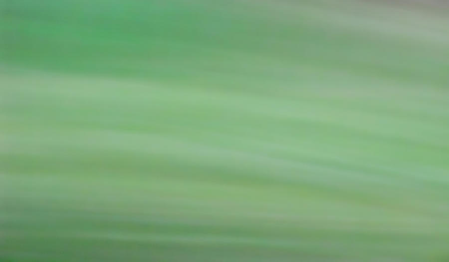 Field of Green Abstract Photograph by Tony Grider