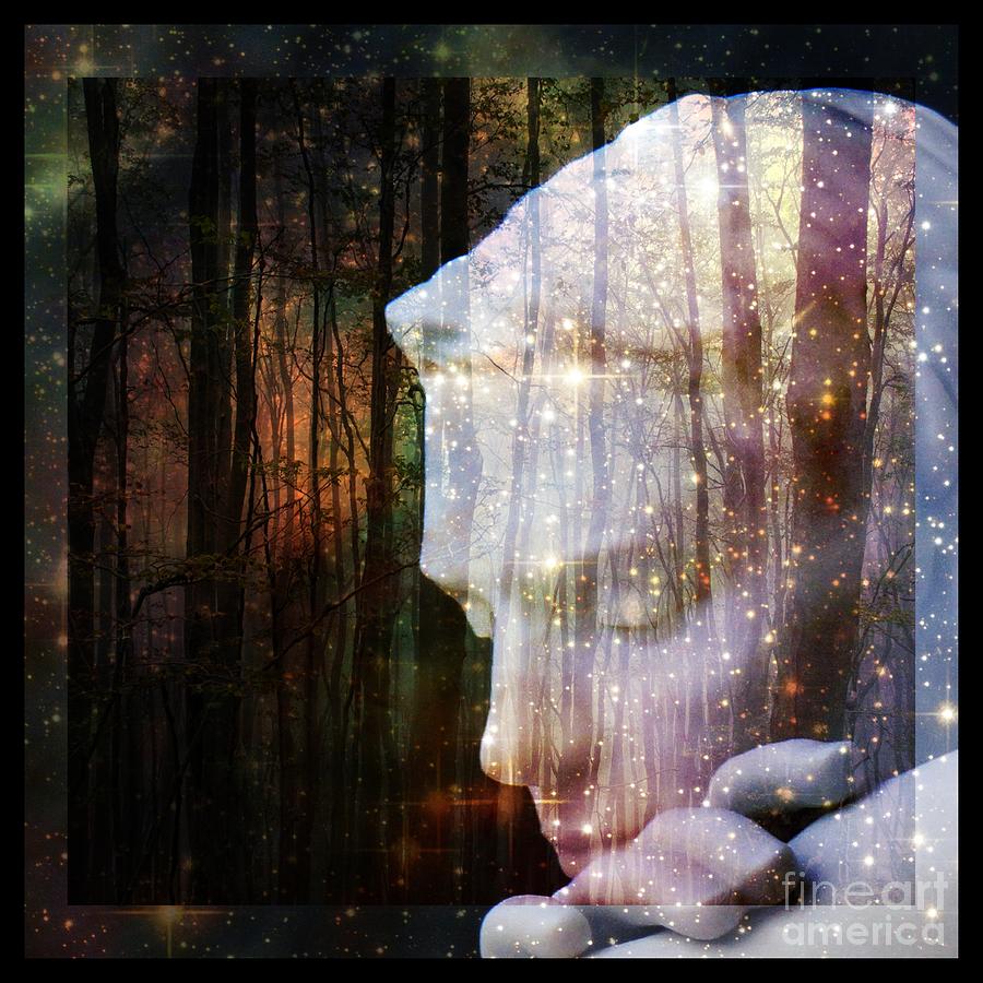 Of Lucid Dreams / Dreamscape 4 Digital Art by Elizabeth McTaggart