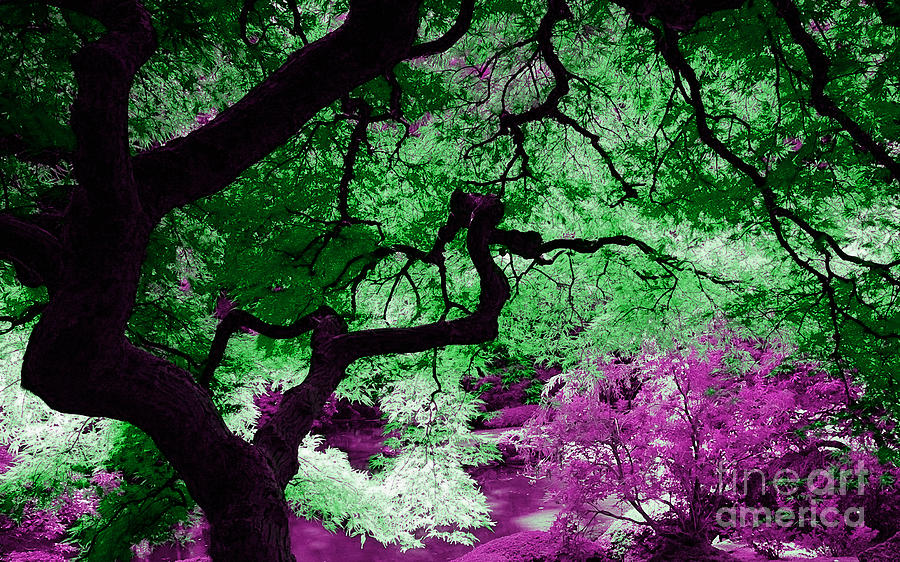 Tree Mixed Media - Dreamscape by Marvin Blaine