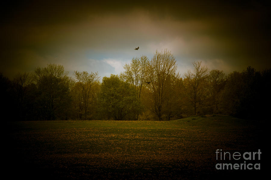 Crow Photograph - Dreamscapes - Field with Birds 3 by Kathi Shotwell